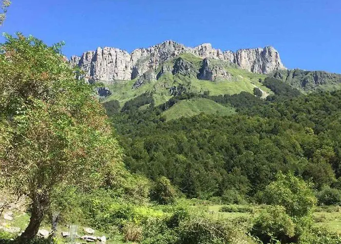 Confortable Pour 2 Avec Terrasse A - Api-1-52-336 *